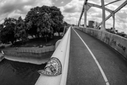 NZF_5549.jpg