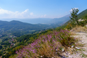 DSC06223.jpg
