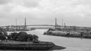 NZF_7143-Pano.jpg