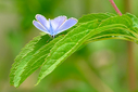 Z63_0476-DxO_DeepPRIME_3.jpg