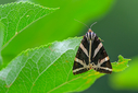 Z63_0970-DxO_DeepPRIME_3.jpg