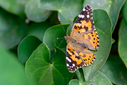 Z63_0312-DxO_DeepPRIME_3.jpg