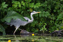 C7D28656.jpg