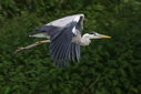 C7D28670.jpg