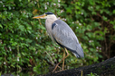 C7D28761.jpg
