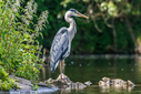 C7D_3832-DxO_DeepPRIME_3.jpg