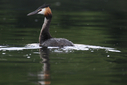 C7D28521.jpg