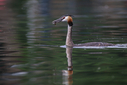 C7D28557.jpg