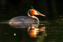 C7D_1393.jpg