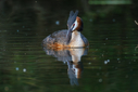 C7D_1471.jpg