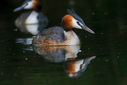 C7D_1484.jpg