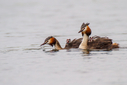 C7D_4164.jpg