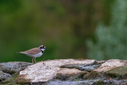 C7D_0326-DxO_DeepPRIME_3.jpg