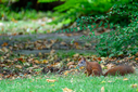 Dateiname=NZF_7730-DxO_DeepPRIME_XD2s.jpg
Dateigröße=873KB
Abmessungen: 1000x667
hinzugefügt am: 24. August 2025 NZF_7730-DxO_DeepPRIME_XD2s.jpg