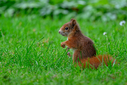 Z63_6435-DxO_DeepPRIME_3.jpg