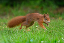 Z63_6496-Bearbeitet.jpg