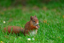 Z63_6571-DxO_DeepPRIME_3.jpg