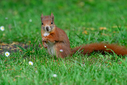 Z63_6634-DxO_DeepPRIME_3.jpg