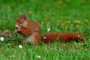 Z63_6647-DxO_DeepPRIME_3.jpg