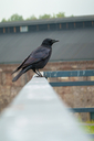 DSC00062.jpg