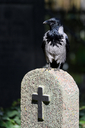 Dateiname=NZF_8922-Bearbeitet.jpg
Dateigröße=569KB
Abmessungen: 533x800
hinzugefügt am: 04. Oktober 2025 NZF_8922-Bearbeitet.jpg