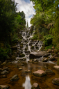 NZF_8285.jpg
