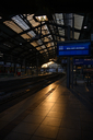 NZF_8706.jpg