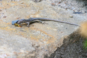 Z63_0636-DxO_DeepPRIME_3.jpg