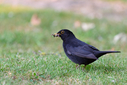 750_5496-DxO_DeepPRIME_3.jpg