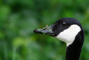 C7D_0777-DxO_DeepPRIME_3.jpg