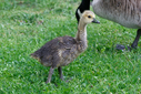 C7D_0785-DxO_DeepPRIME_3.jpg