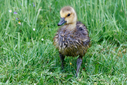 C7D_0799-DxO_DeepPRIME_3.jpg