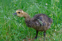 C7D_0823-DxO_DeepPRIME_3.jpg