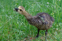 C7D_0824-DxO_DeepPRIME_3.jpg