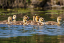 C7D_1657.jpg
