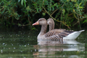 C7D_3882.jpg