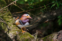 C7D_1668-Bearbeitet.jpg