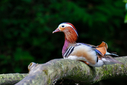 C7D_1726-DxO_DeepPRIME_3.jpg