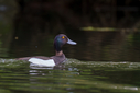 C7D_1735.jpg